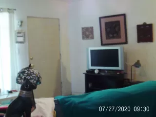 Photo #3: 6110336 Listing 