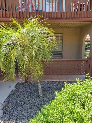 Photo #2: 6110412 Listing 