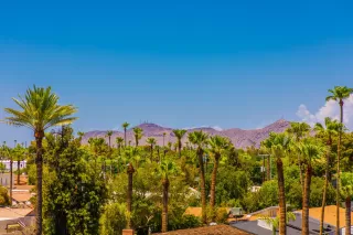 Photo #1: 6113777 Listing 