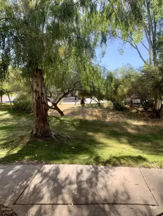 Photo #1: 6113925 Listing