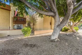 Photo #4: 6117214 Listing 