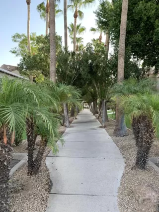 Photo #1: 6120991 Listing