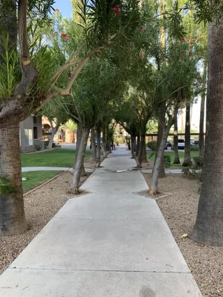 Photo #2: 6120991 Listing