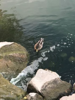 Photo #1: 6121713 Listing 