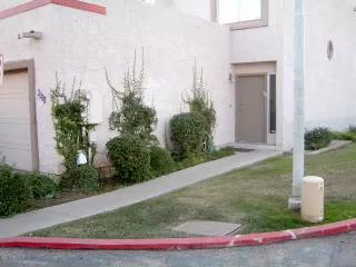 Photo #1: 6122551 Listing