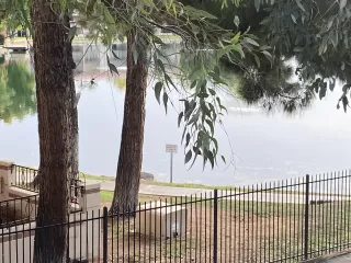 Photo #4: 6125294 Listing