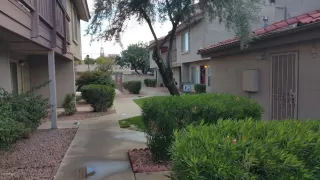 Photo #1: 6125462 Listing 