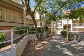 Photo #1: 6127605 Listing 