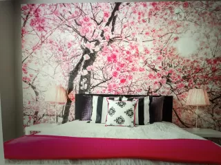 Photo #1: 6128689 Listing