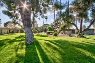 Photo #5: 6129446 Listing