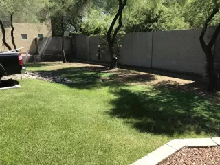 Photo #5: 6133170 Listing