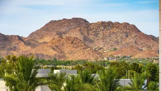 Photo #1: 6136232 Listing