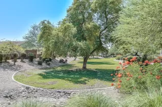 Photo #3: 6137964 Listing 