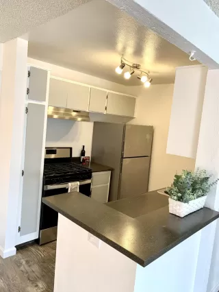 Photo #2: 6141610 Listing 