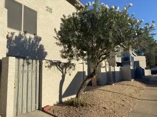 Photo #1: 6143783 Listing 