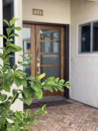 Photo #1: 6144142 Listing