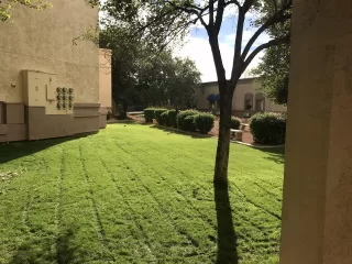 Photo #1: 6144679 Listing 