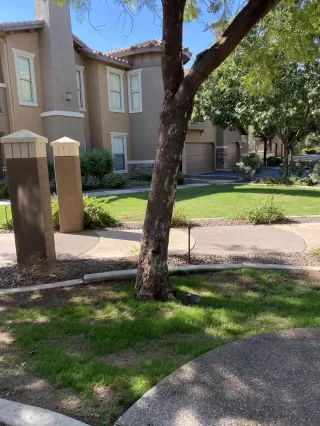 Photo #2: 6148228 Listing