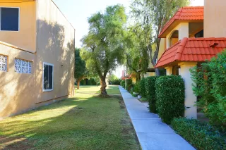 Photo #4: 6148611 Listing