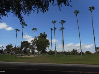 Photo #5: 6148619 Listing 