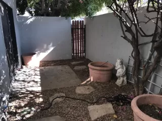 Photo #5: 6153727 Listing