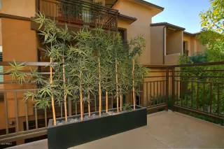 Photo #4: 6154137 Listing 