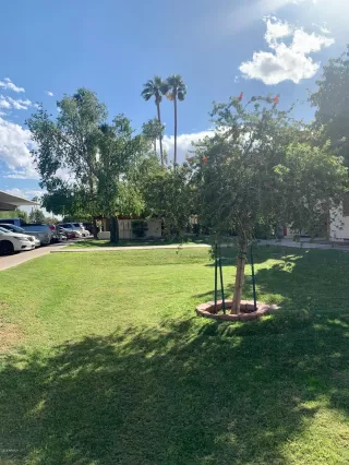 Photo #2: 6154435 Listing