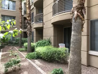 Photo #5: 6155124 Listing 