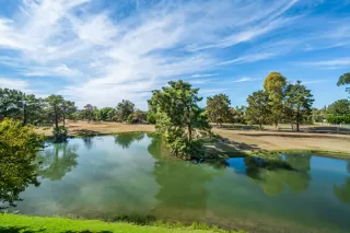 Photo #1: 6156330 Listing