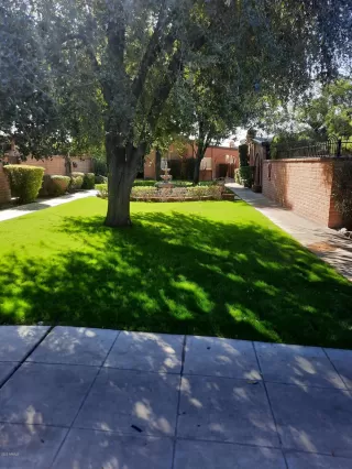 Photo #6: 6158692 Listing