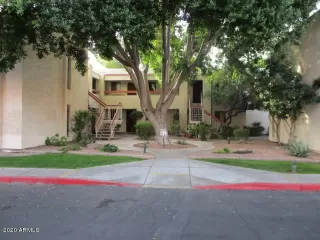 Photo #5: 6159155 Listing