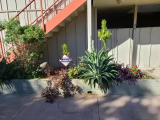 Photo #2: 6159808 Listing