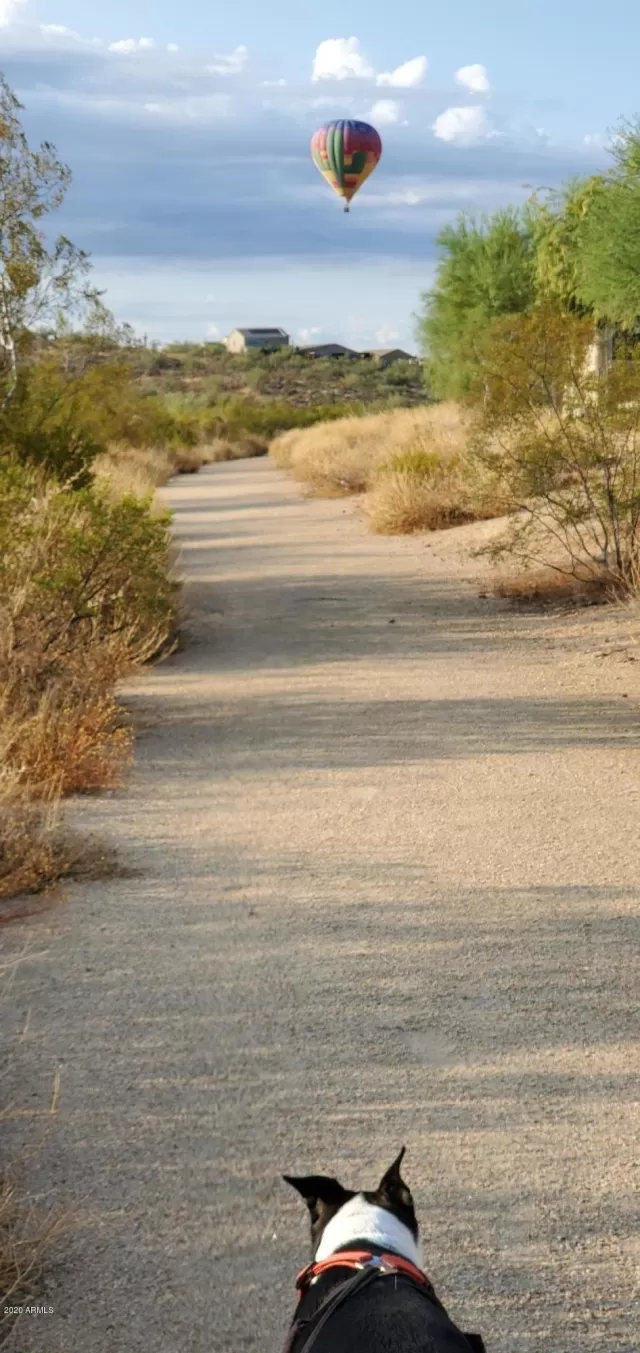 MLS: 6160551 Condo For Sale