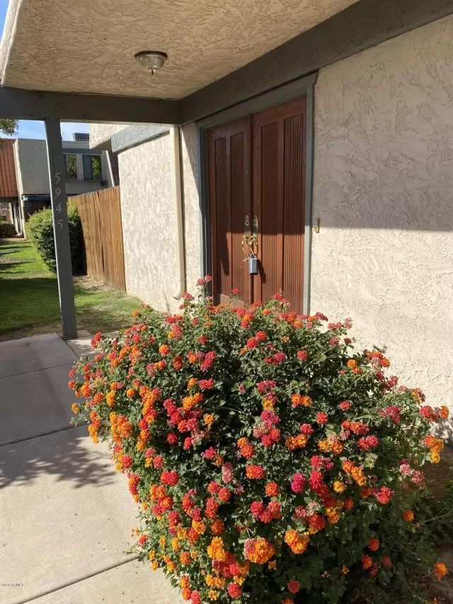 MLS: 6163427 Condo For Sale