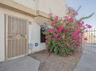 Photo #1: 6164630 Listing