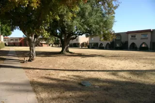 Photo #1: 6165257 Listing