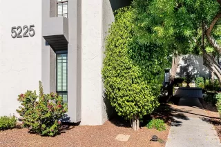 Photo #1: 6165303 Listing