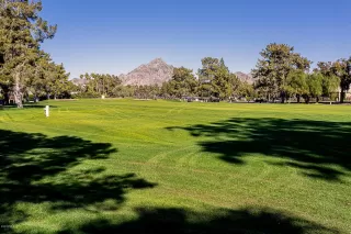 Photo #3: 6165303 Listing