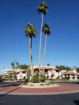 Photo #1: 6165323 Listing