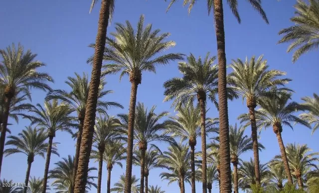 MLS: 6165488 Condo For Sale