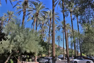 Photo #4: 6165488 Listing