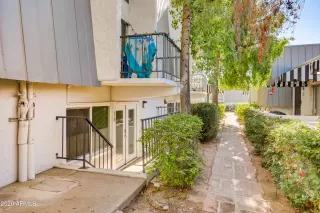 Photo #5: 6169759 Listing 