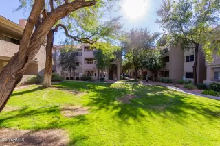 Photo #5: 6172210 Listing