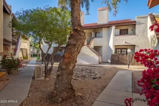 Photo #3: 6172464 Listing 