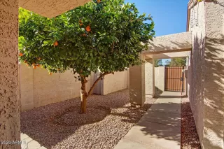 Photo #1: 6173838 Listing