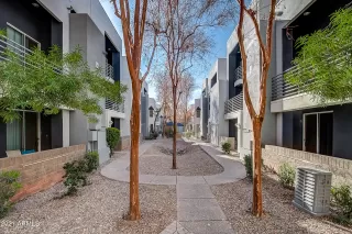 Photo #1: 6178842 Listing