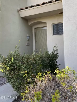 Photo #1: 6179367 Listing