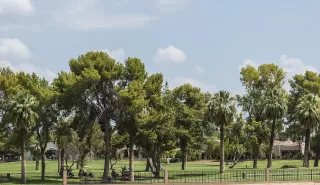 Photo #6: 6181485 Listing 