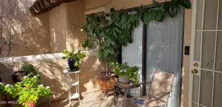 Photo #6: 6182180 Listing 