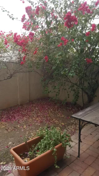 Photo #4: 6187671 Listing 